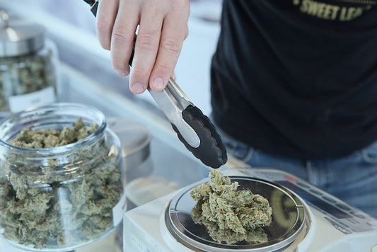 "Maximizing Your Cannabis Journey: An In-depth Analysis of Premier Gravity Bongs and Top-tier Cannabis Accessories from 3Pursuits"