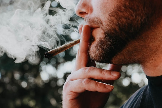 "Mastering the High: An Ultimate Guide to Cannabis Strains and Essential Accessories for an Unparalleled Experience"