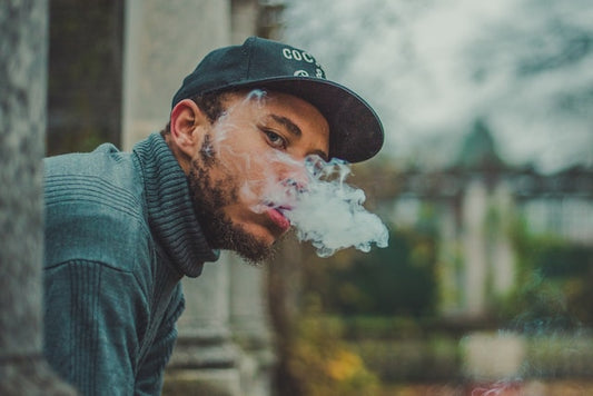 Exploring the World of Cannabis: Comprehensive Guide to Understanding Strains, Quality Accessories, and Navigating the Evolving Industry