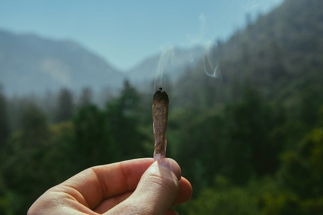 Mastering the Cannabis Experience: An Ultimate Guide to Its History, Strains, and Essential 3Pursuits Smoking Accessories